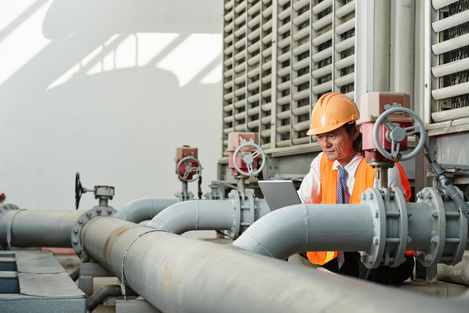 MEP Estimates service